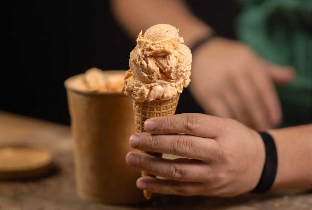 Helado de Mamey con Queso 🍨
