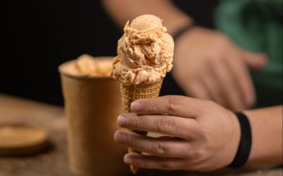 Helado de Mamey con Queso 🍨